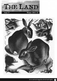 17-cover4web.jpg
