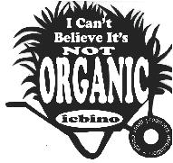 ICBINO logo