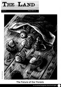 The Land Issue 11