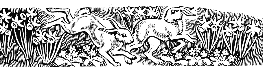 Spring hares